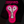 Load image into Gallery viewer, Women's Tropical Design Cycling Short