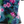Load image into Gallery viewer, Women's Sturdy Girl Cycling Jersey