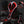 Load image into Gallery viewer, Shaolin Dragon Cycling Short